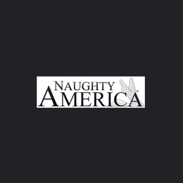 Naughtyamerica_logo